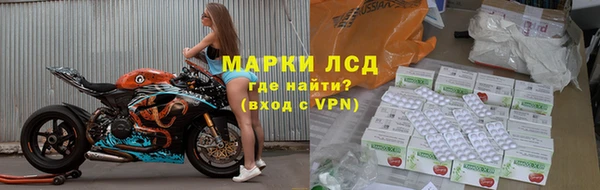 индика Богородицк