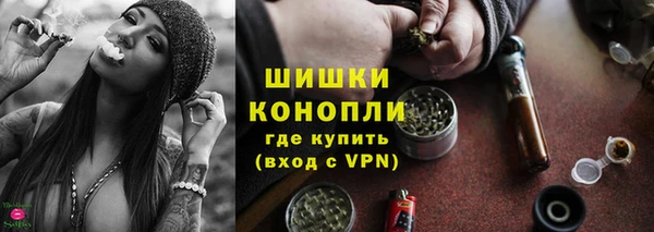 индика Богородицк