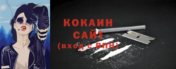 индика Богородицк