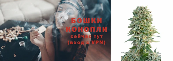 индика Богородицк