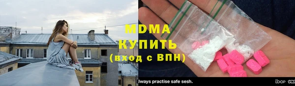 индика Богородицк