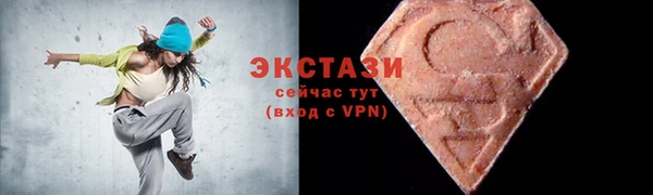 индика Богородицк