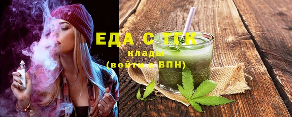 индика Богородицк