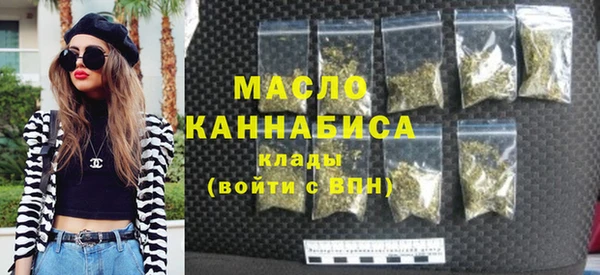 индика Богородицк