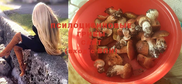 индика Богородицк
