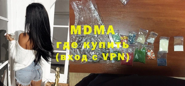 индика Богородицк