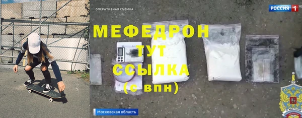 индика Богородицк
