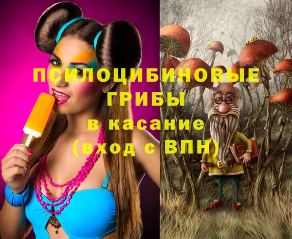 индика Богородицк