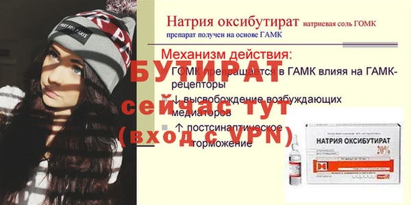 индика Богородицк
