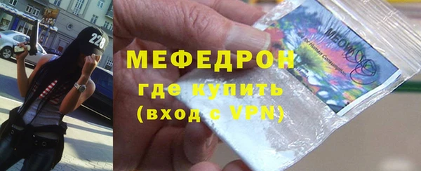 индика Богородицк