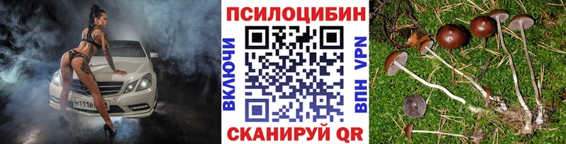 Галлюциногенные грибы MAGIC MUSHROOMS  нарко площадка наркотические препараты  Мостовской  blacksprut зеркало 